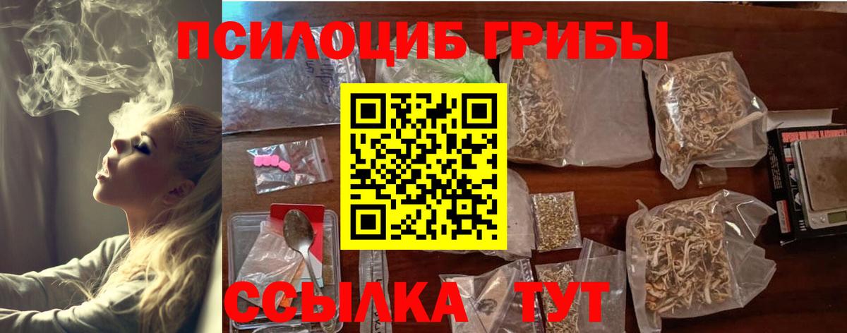 Волгодонск  Псилоцибиновые грибы Cubensis  Вход с VPN 